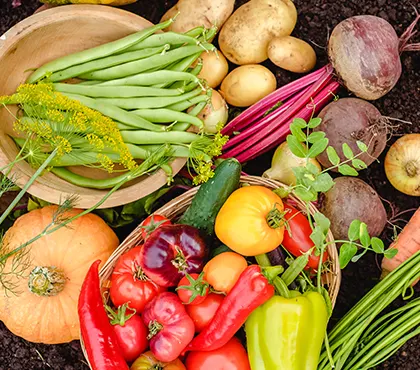 Potagers Français